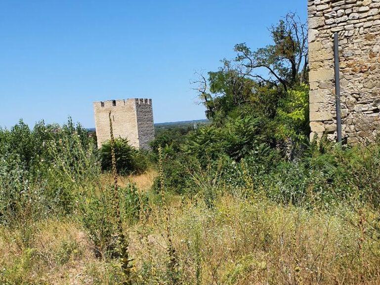 The site outside of Hainburg an der Donau (Photo: Atara Kadisha) המקום שבו אמורה לקום שכונת הווילות