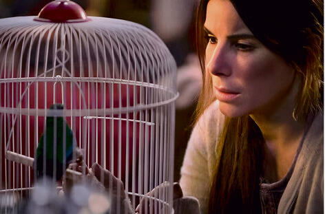 מתוך הסרט 'קופסת הציפורים' yk14280051