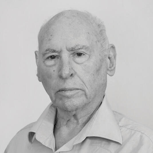 אמנון שוורץ, יו"ר ובעלים 