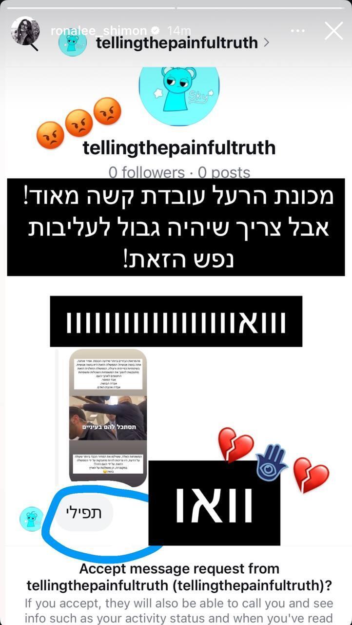 "מכונת הרעל עובדת קשה מאוד!" (צילום מסך: אינסטגרם) רונה לי שמעון מותקפת באינסטגרם