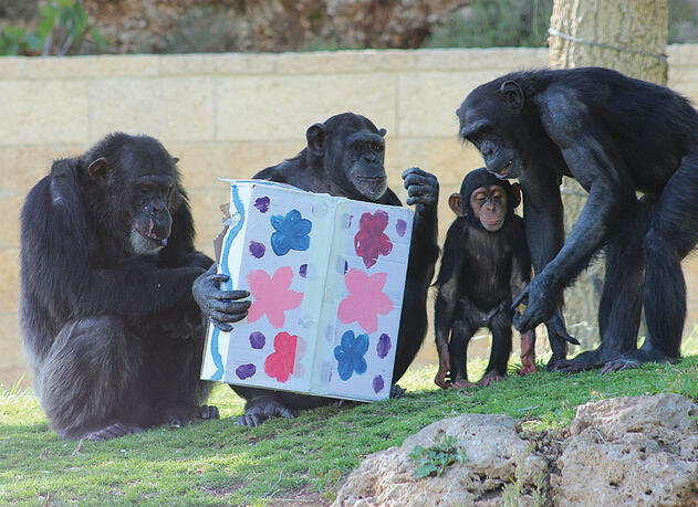 תחפושות בגן החיות התנכ”י בירושלים | צילום: ארכיון גן החיות yk14282516