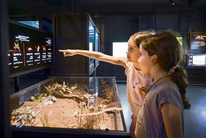 פורים בטכנודע בחדרה | צילום: יח"צ yk14282528