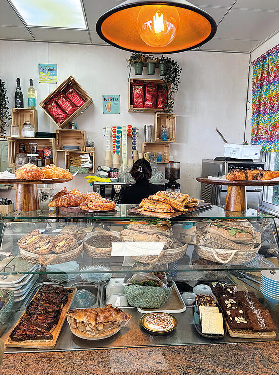 צילום: דויד קישקה yk14288517