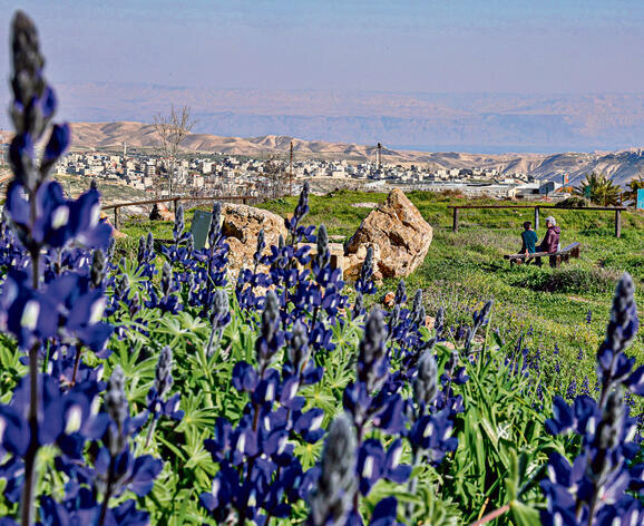 צילום: ארנון בוסאני yk14288658