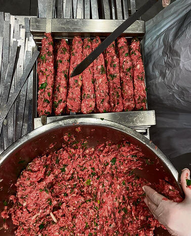 צילום: דוד קישקה yk14296947