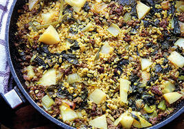 צילום: דפנה אוסטר מיכאל yk14297940