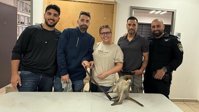 The monkey that was resuced in Tel Aviv (Photo: Israel Police, INPA) הקוף שנמצא בתל אביב