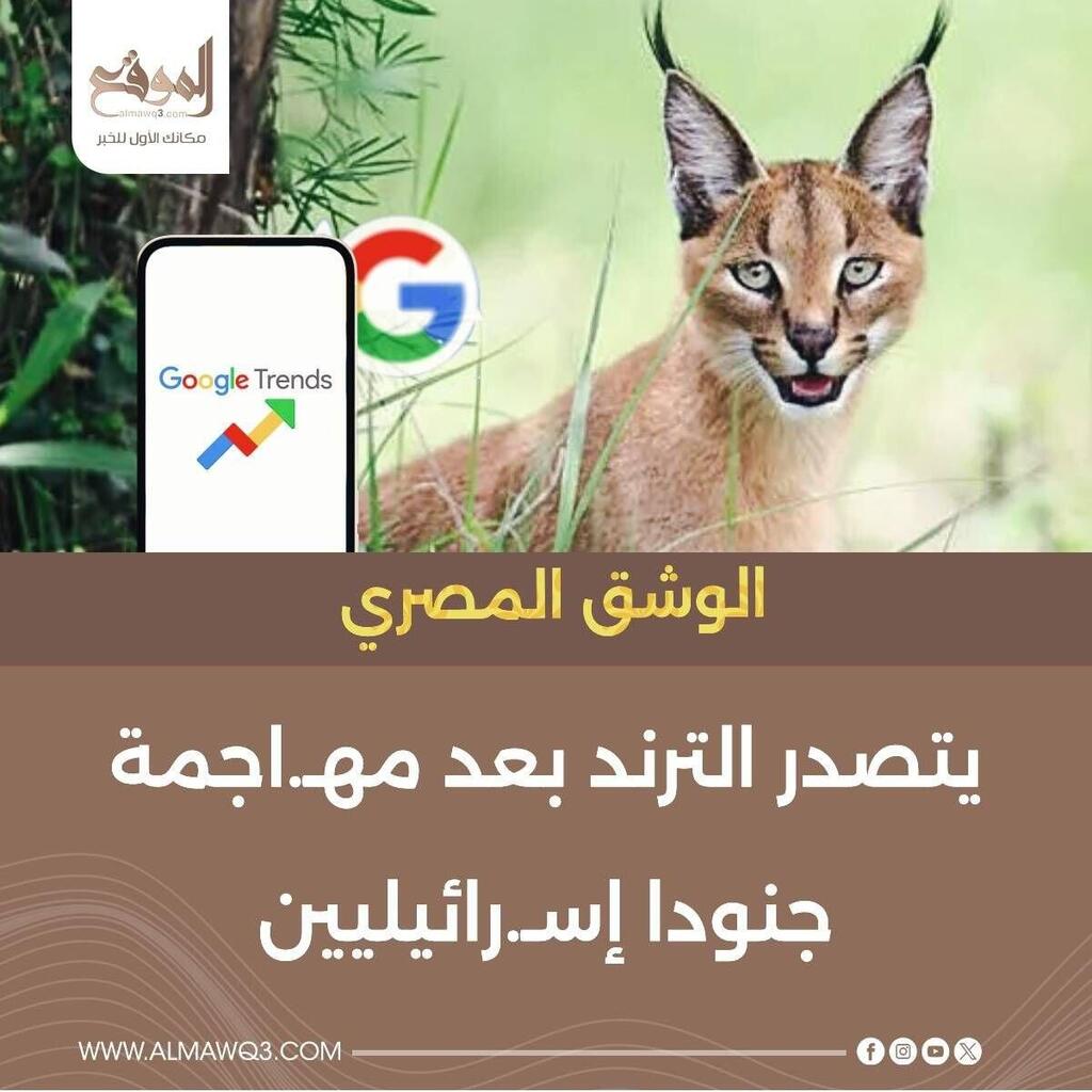 פינת יא אללה ליאור בן ארי קרקל תקף חיילים