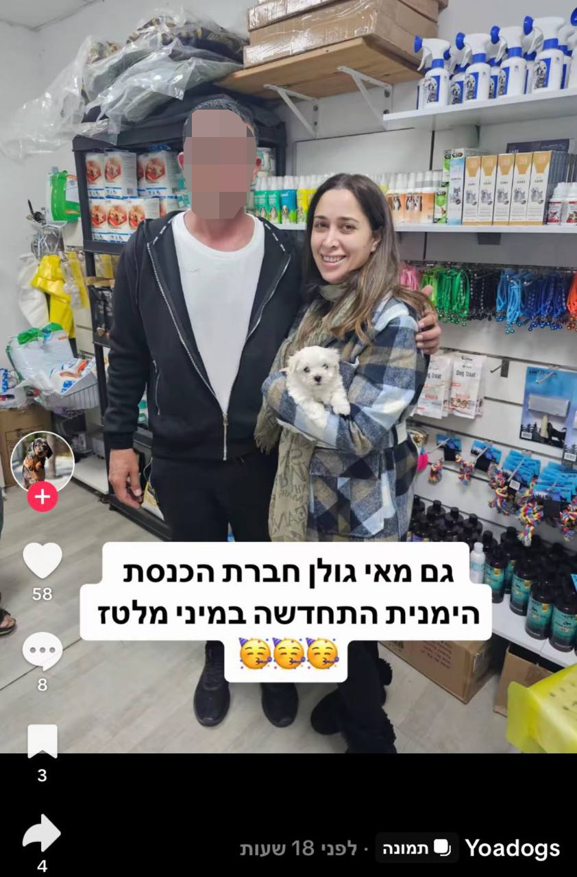 מאי גולן והמלטז הננסי (צילום מסך) מאי גולן כלב גזעי