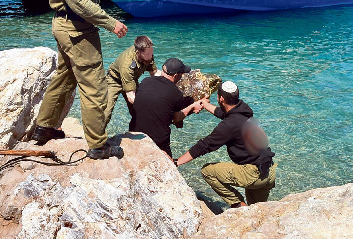 צב פינוי