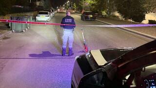 חשד: תלמיד תיכון בן 16 דרס שוטרת במהלך "סיור דאווין" – מבלי שיש לו רישיון