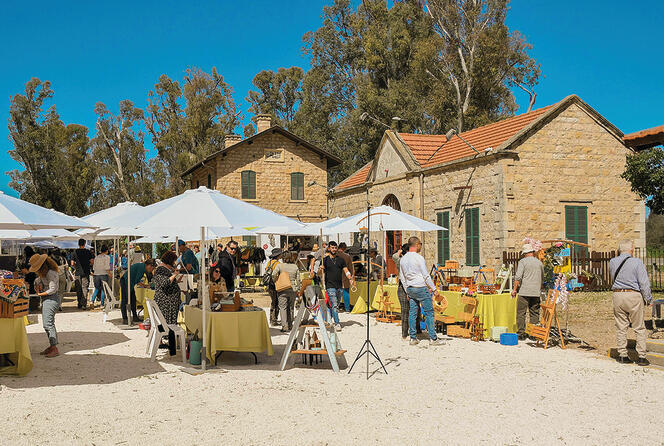 צילום: שאול רחמים yk14310841