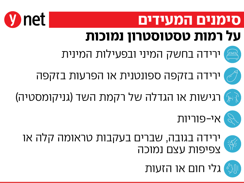 אינפו טסטוסטרון