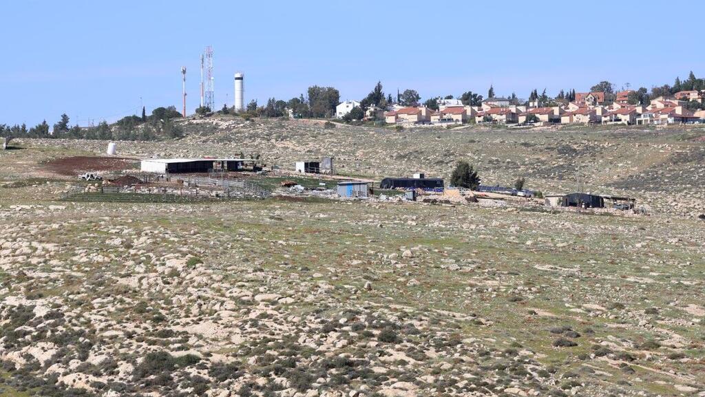 חווה חקלאית ליד כוכב השחר בבנימין (צילום: שאול גולן) החווה של נריה בן פזי ליד כוכב השחר. "תופסים שטח אסטרטגי"