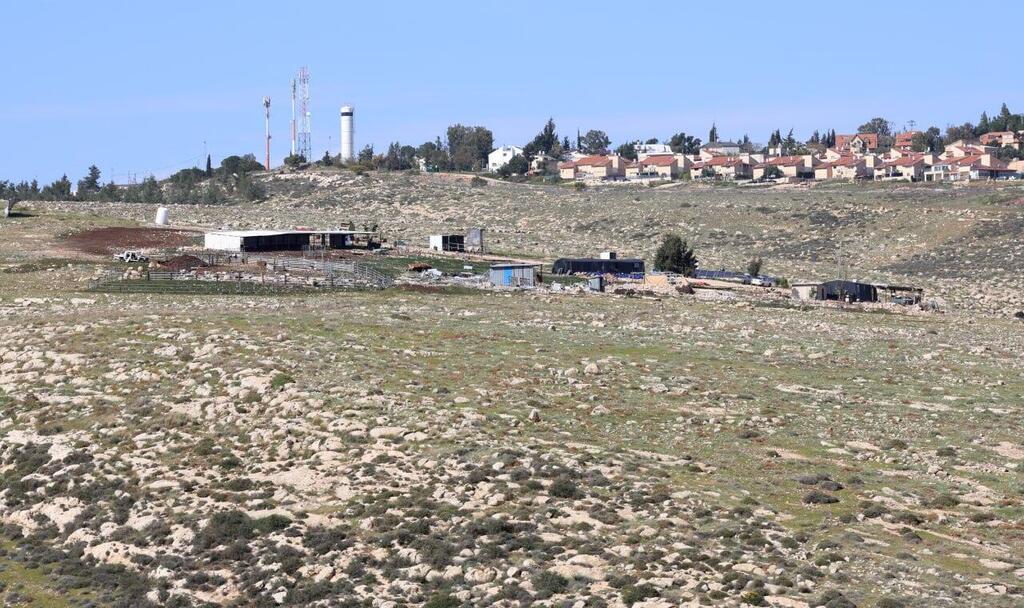 החווה של נריה בן פזי ליד כוכב השחר. "תופסים שטח אסטרטגי" (צילום: שאול גולן ) החווה של נריה בן פזי ליד כוכב השחר. "תופסים שטח אסטרטגי"