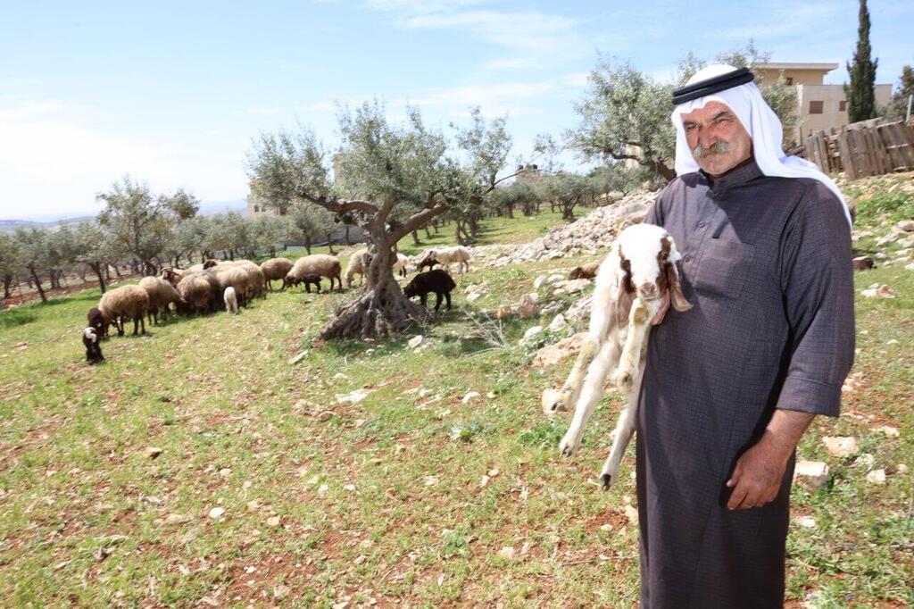ארון ראשיד כחלה. "חארקות עם טרקטרונים" (צילום: שאול גולן ) ארון ראשיד כחלה
