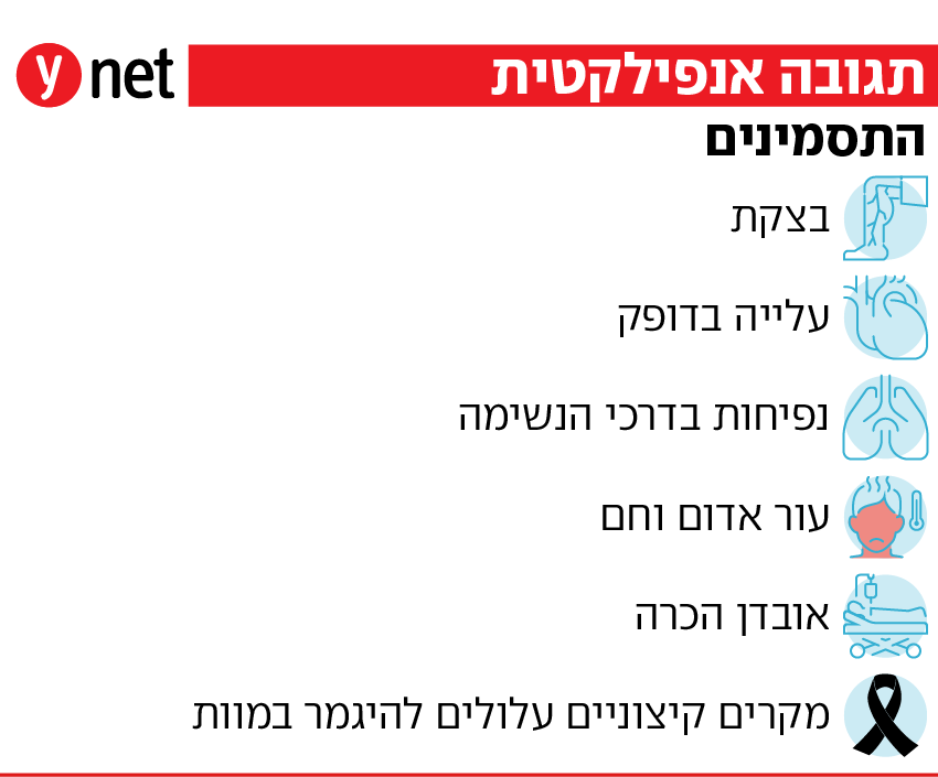 שוק אנפילקטי שוק אנפילקטי