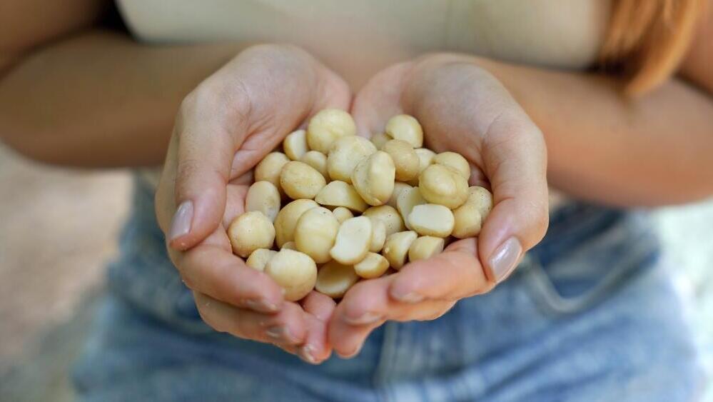 אגוזי מקדמיה