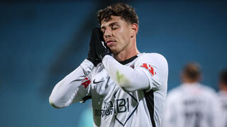 סתיו טוריאל