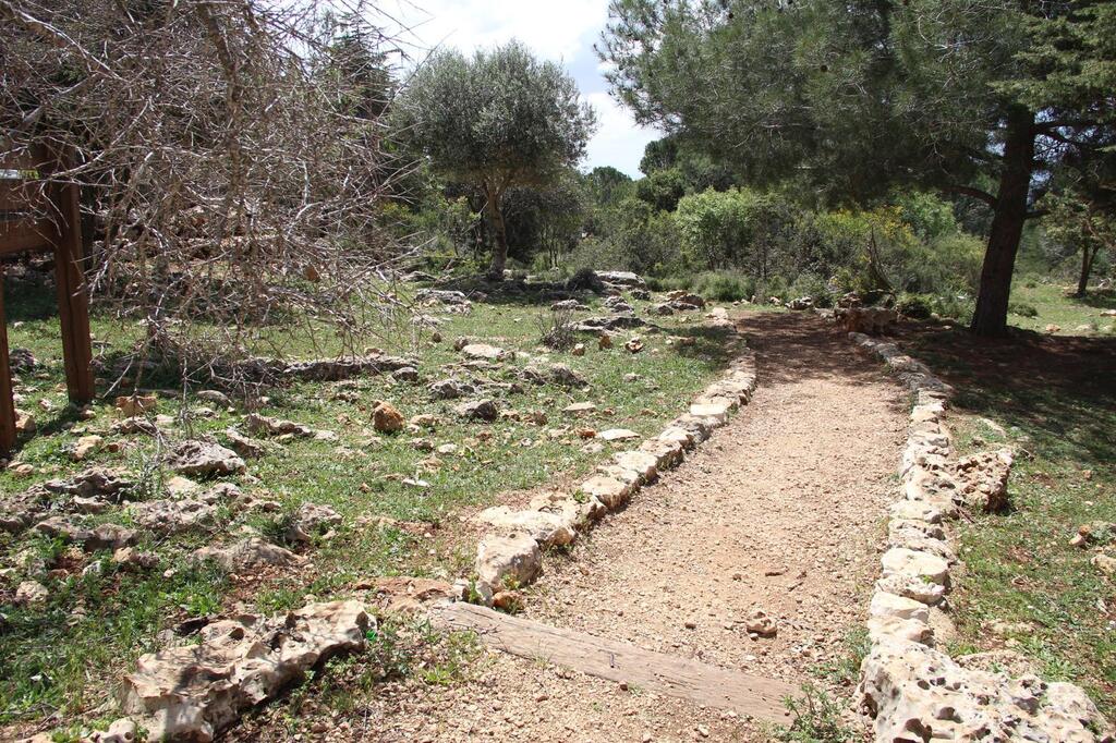 אירוע "צפון ירוק" בפארק אדמית