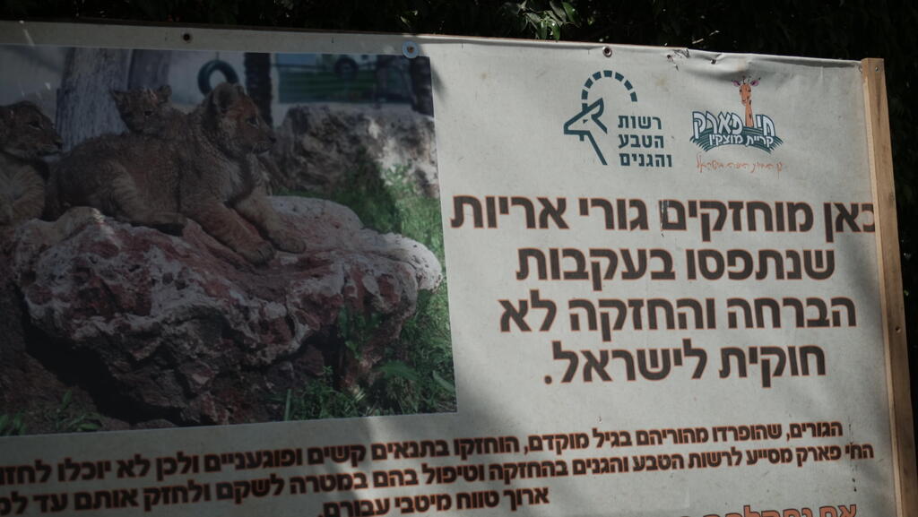שלט על הימצאות הגורים (צילום: ירון שרון) שלט על הימצאות הגורים