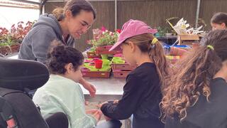 חווה טיפולית חווה טיפולית