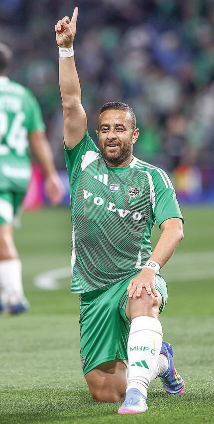 סבע בא שוב | צילום: גיל נחושתן yk14340286