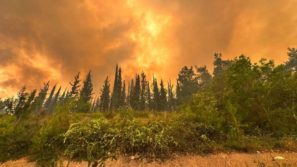 Fire near Beit Shemesh and Eshtaol (Photo: Liran Tamari) שריפה בסמוך לבית שמש ואשתאול