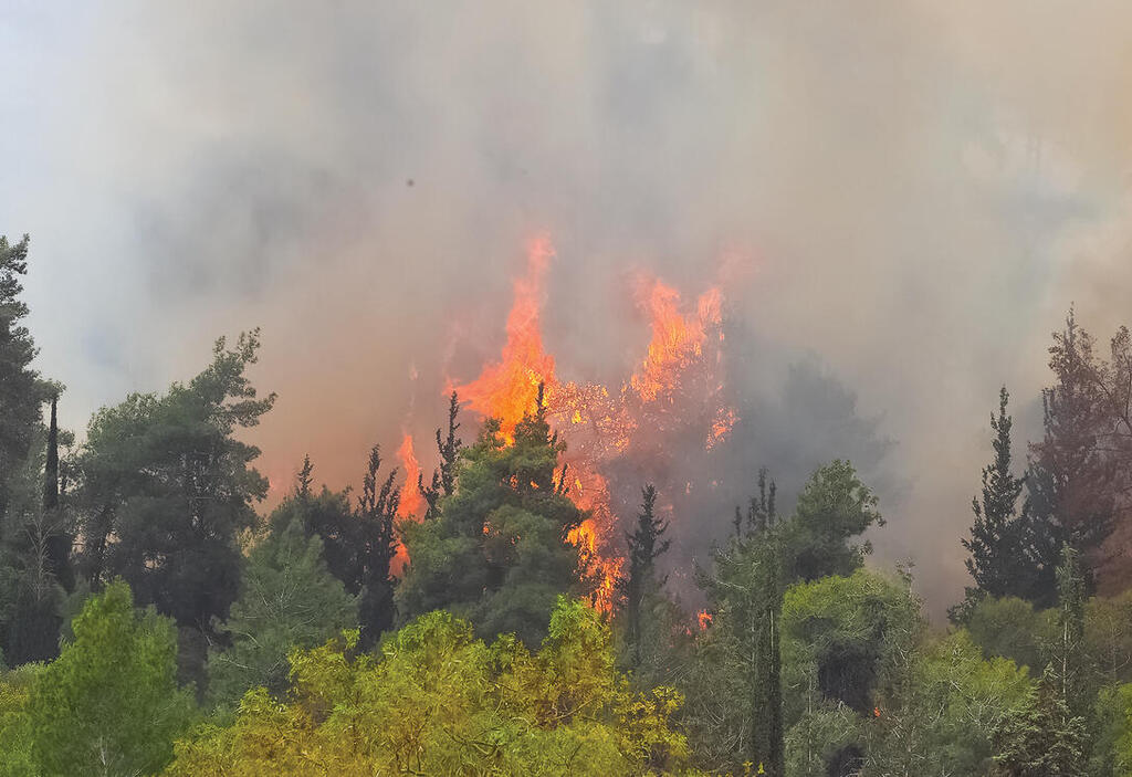 "תנאים אידיאליים להתפשטות בסדר גודל כזה". השריפה באזור בית־שמש, אתמול | צילום: עמית שאבי yk14346116
