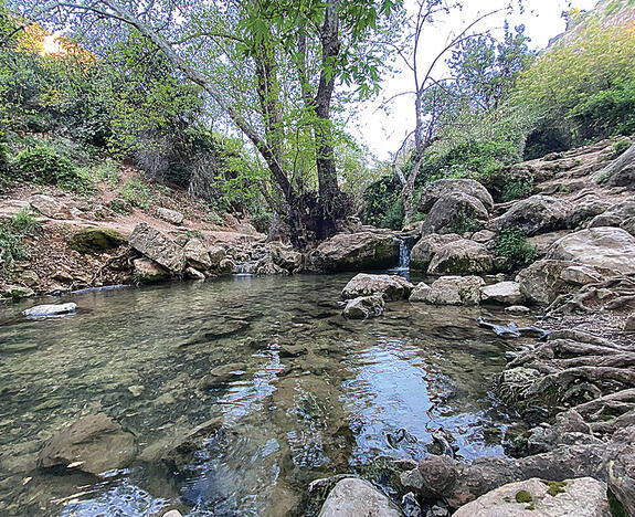 בריכות שכווי בנחל עמוד yk14342714