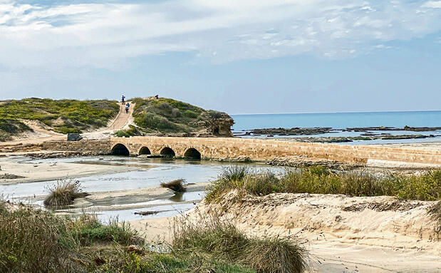 גשר וילהלם המשוחזר בשפך נחל תנינים yk14342715