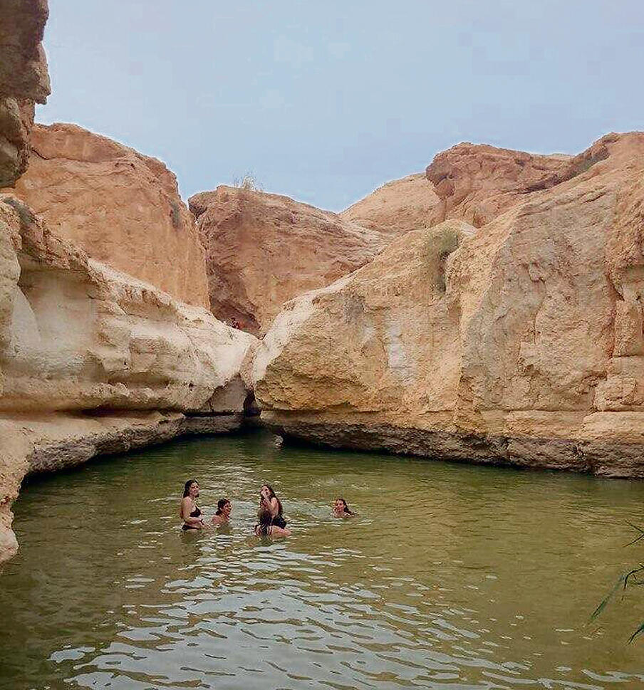 צילום: רינת רוסו, רשות הטבע והגנים yk14342785