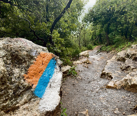 צילום: גלעד כרמלי yk14342786