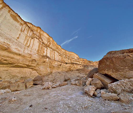 פרסת נקרות yk14342789