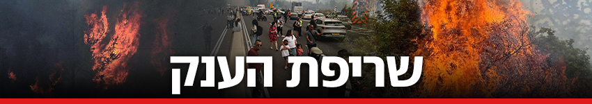 כותרת גג 850 שריפת הענק בהרי ירושלים 