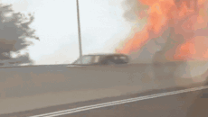 Wildfire shuts Jerusalem highway amid scenes of horror, triggers mass evacuations acr