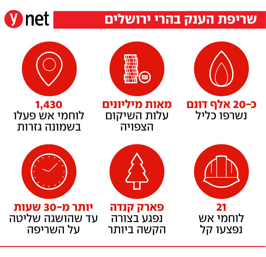 שריפת הענק בירושלים שריפת הענק בירושלים