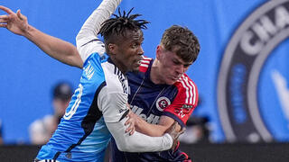 פיינגולד נאבק בזאהה