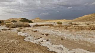 שיטפונות בנחל עומר