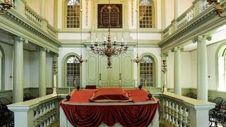 Powelliphanta augusta 