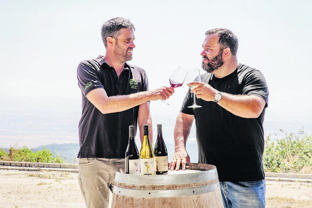  סדנת יין בקיבוץ פלך. לשתות מול נוף