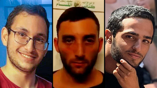 נמרוד כהן מתן אנגרסט תמיר נמרודי