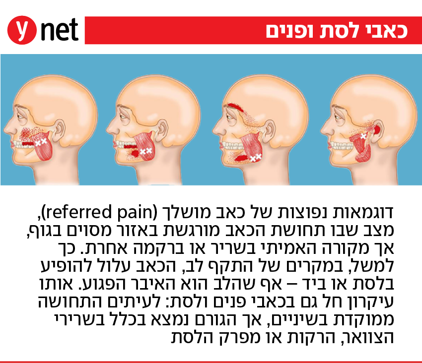 אינפו כאבי לסת ופנים (צילום: Shutterstock) אינפו כאבי לסת ופנים