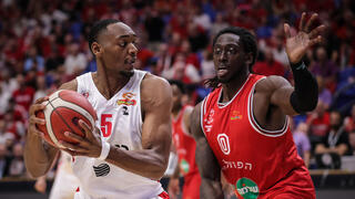 וויילי מול מוטלי