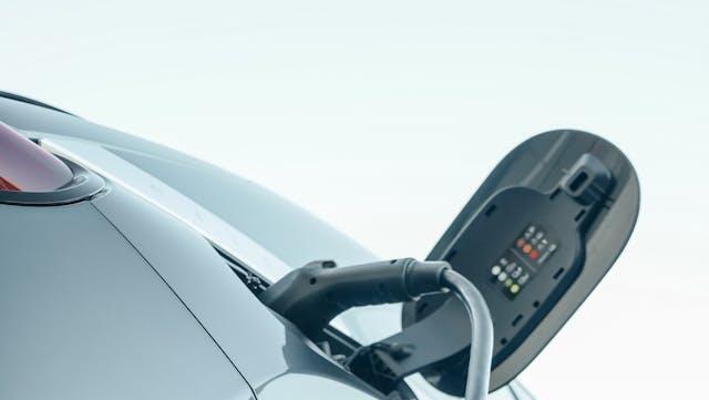 הפניקס הפניקס