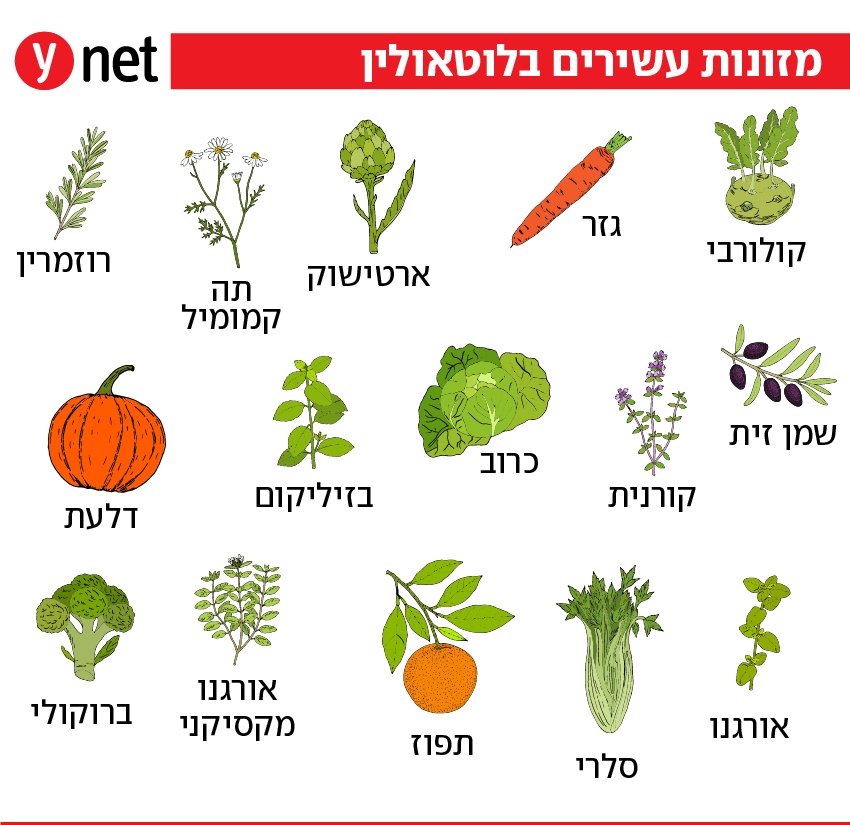 אינפו מזון עשיר בלוטאולין אינפו מזון עשיר בלוטאולין