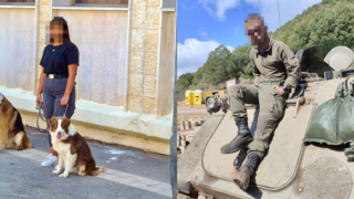 לכתבה של ויצו בלבד 