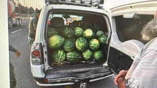 תיעוד ממעצרו של החשוד בגניבת אבטיחים  במהלך פעילות של לוחמי מג