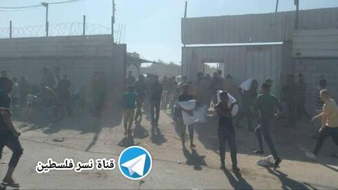 Gazans loot Hamas food stores, five shot dead