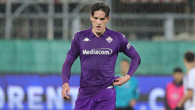 ניקולו זאניולו